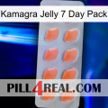 Kamagra Jelly 7 Day Pack 26